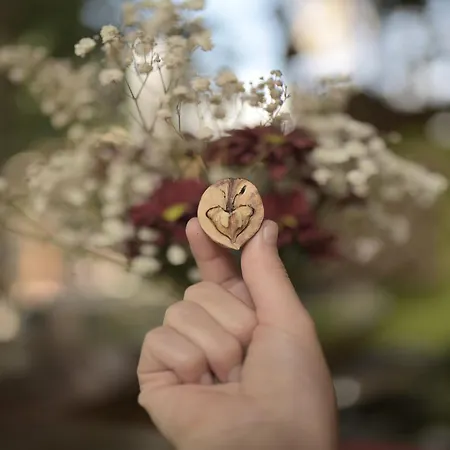 Los Amigos Yoga & Wellness * La Mareta