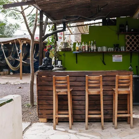 Los Amigos Nomad *