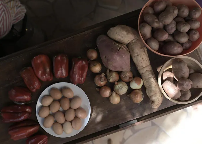 Los Amigos Nomad La Mareta