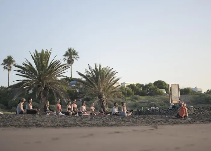 Los Amigos Yoga & Wellness