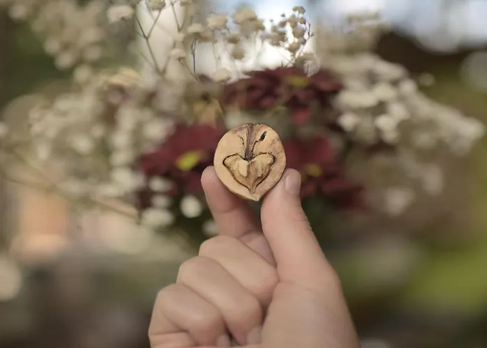 Los Amigos Nomad * La Mareta