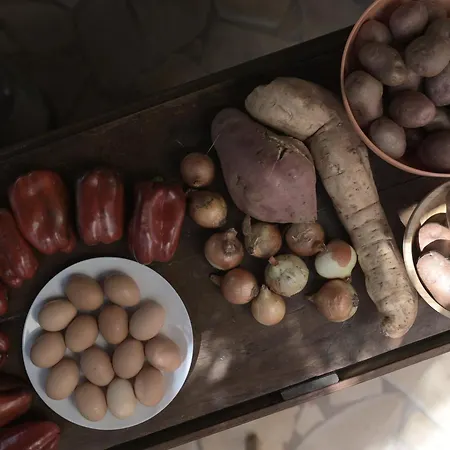 Los Amigos Yoga & Wellness La Mareta