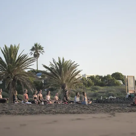 Los Amigos Yoga & Wellness